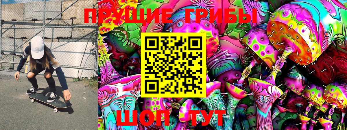 Галлюциногенные грибы Psilocybe Бор
