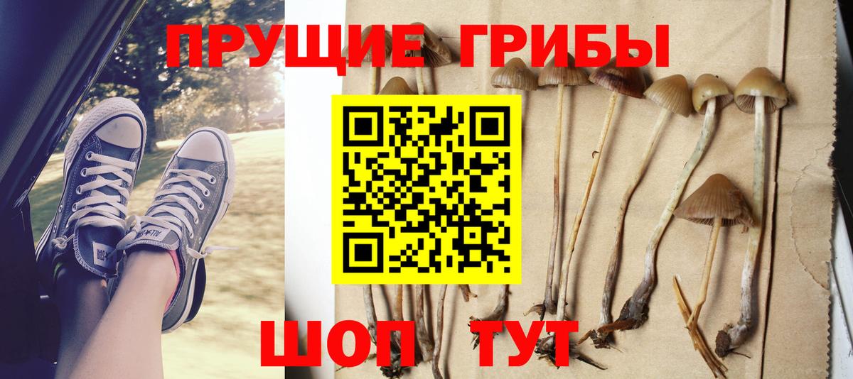 Псилоцибиновые грибы Psilocybe  Вход с VPN  Галлюциногенные грибы мухоморы  Бор 